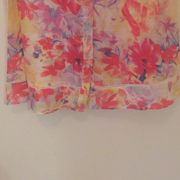 NY Collection Shell Petite Small - Picture 2 of 7